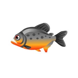 Gray Piranha